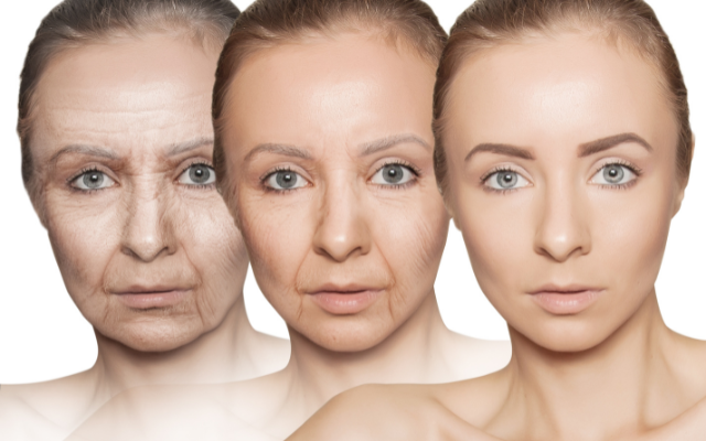 お酒が老化を加速するメカニズム