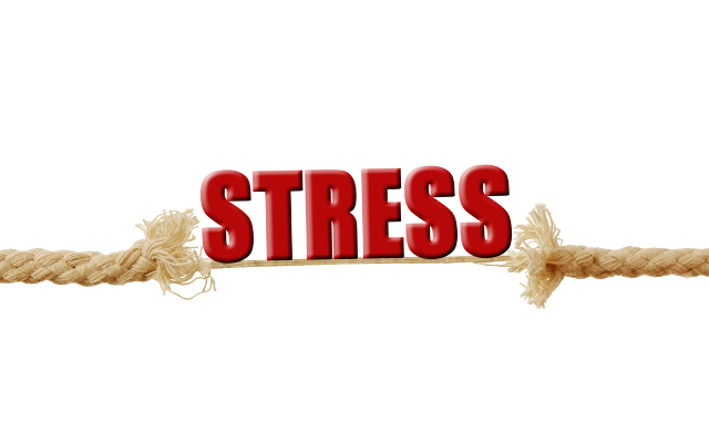 酒とストレス解消の関係が老化に与える影響