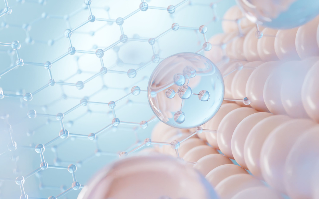 コラーゲン生成をサポートする栄養素