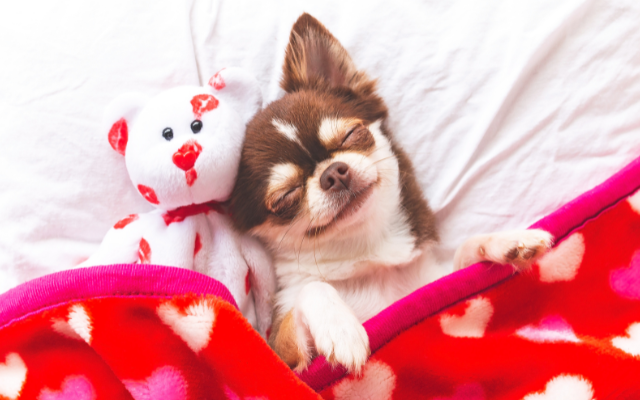 質の高い睡眠が美肌とホルモンバランスを整える